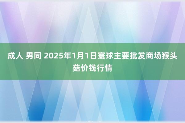 成人 男同 2025年1月1日寰球主要批发商场猴头菇价钱行情