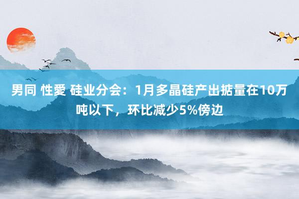 男同 性愛 硅业分会：1月多晶硅产出掂量在10万吨以下，环比减少5%傍边