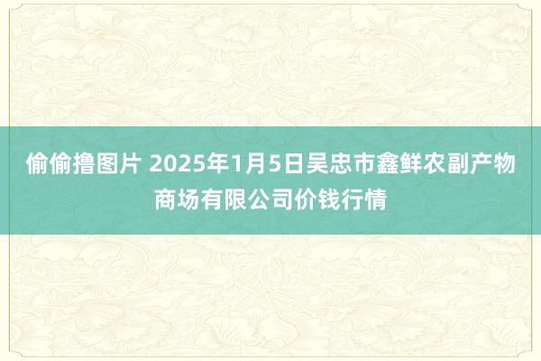 偷偷撸图片 2025年1月5日吴忠市鑫鲜农副产物商场有限公司价钱行情