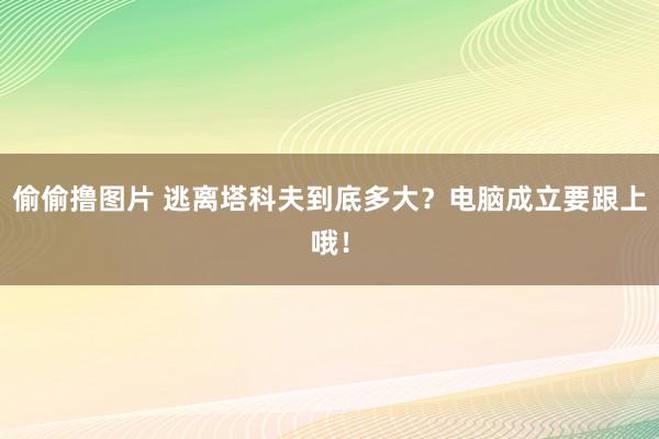 偷偷撸图片 逃离塔科夫到底多大？电脑成立要跟上哦！