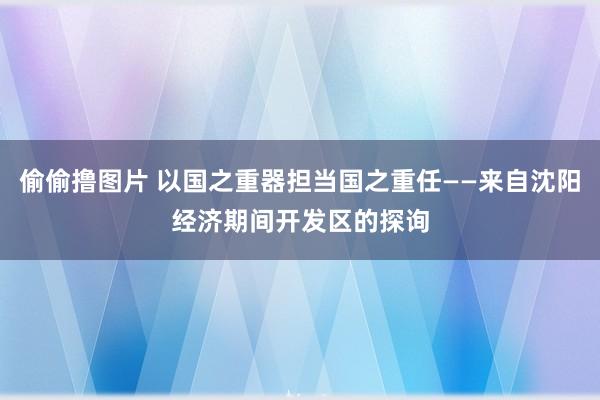 偷偷撸图片 以国之重器担当国之重任——来自沈阳经济期间开发区的探询