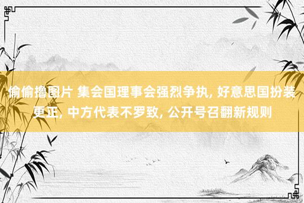 偷偷撸图片 集会国理事会强烈争执， 好意思国扮装更正， 中方代表不罗致， 公开号召翻新规则