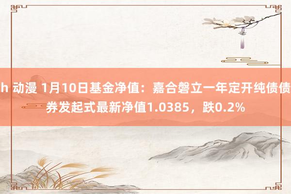 h 动漫 1月10日基金净值：嘉合磐立一年定开纯债债券发起式最新净值1.0385，跌0.2%