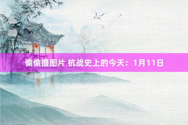 偷偷撸图片 抗战史上的今天：1月11日