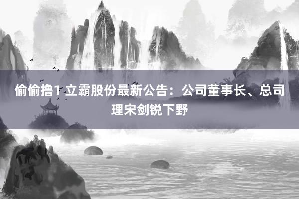 偷偷撸1 立霸股份最新公告：公司董事长、总司理宋剑锐下野