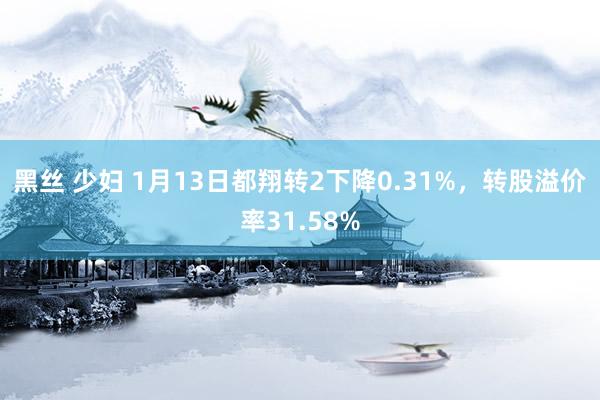 黑丝 少妇 1月13日都翔转2下降0.31%，转股溢价率31.58%