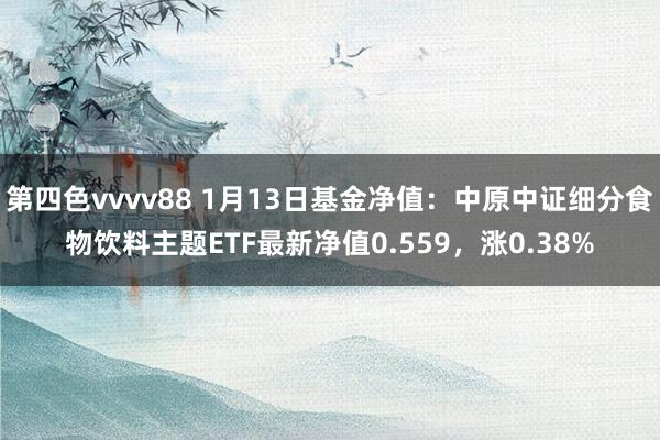 第四色vvvv88 1月13日基金净值：中原中证细分食物饮料主题ETF最新净值0.559，涨0.38%