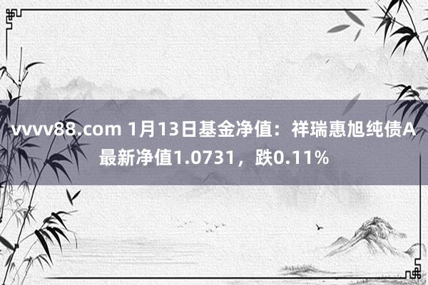 vvvv88.com 1月13日基金净值：祥瑞惠旭纯债A最新净值1.0731，跌0.11%