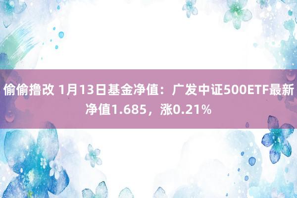 偷偷撸改 1月13日基金净值：广发中证500ETF最新净值1.685，涨0.21%