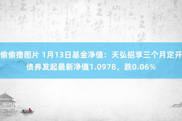 偷偷撸图片 1月13日基金净值：天弘招享三个月定开债券发起最新净值1.0978，跌0.06%