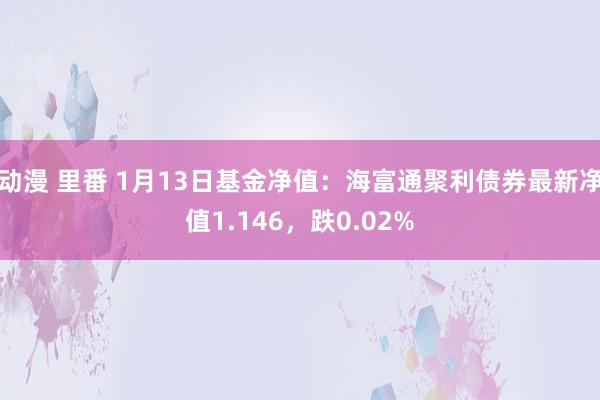 动漫 里番 1月13日基金净值：海富通聚利债券最新净值1.146，跌0.02%