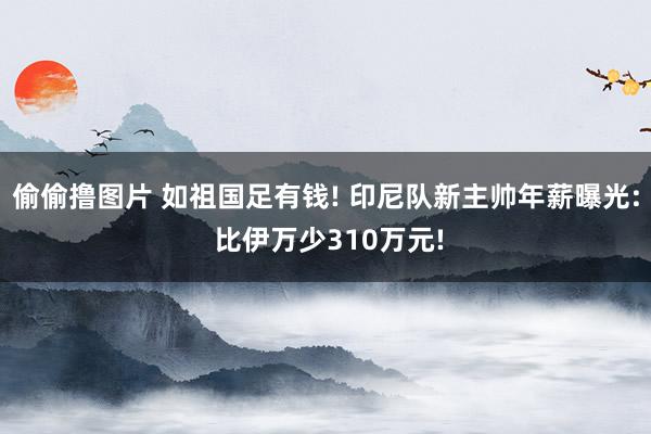 偷偷撸图片 如祖国足有钱! 印尼队新主帅年薪曝光: 比伊万少310万元!