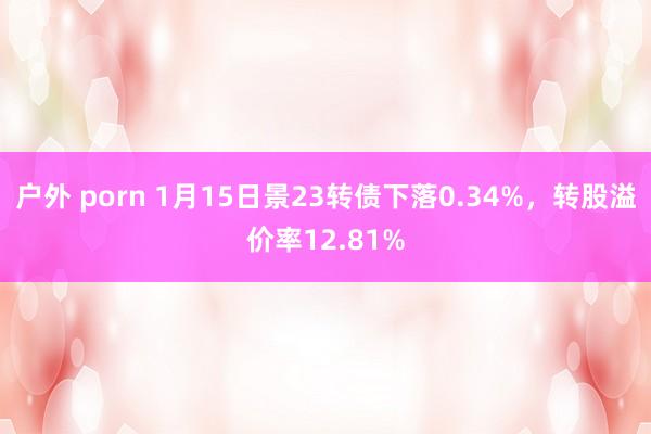 户外 porn 1月15日景23转债下落0.34%，转股溢价率12.81%